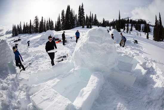القوات 392 Igloos